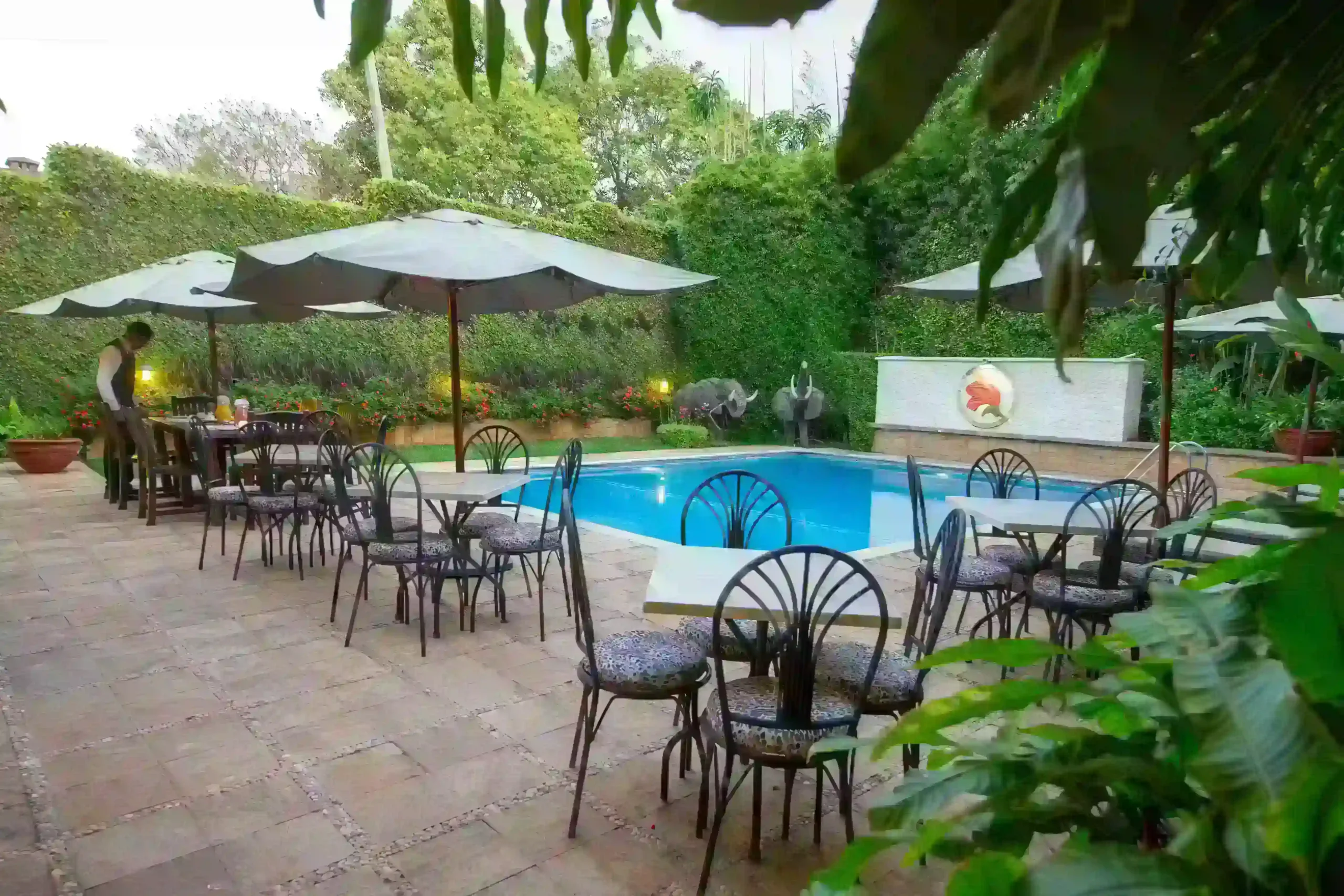 A Taste of Tanzania Dining at The African Tulip
