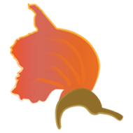 The African Tulip