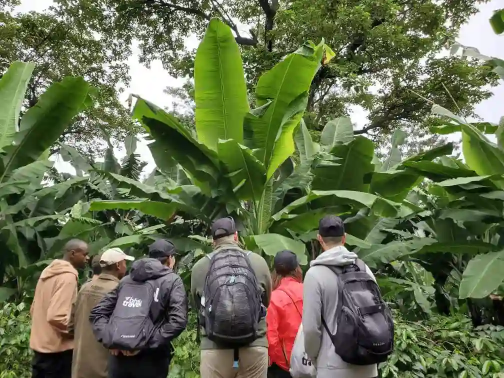 Tengeru Cultural Tourism Experience 